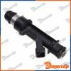 Бензиновая форсунка на BUICK, CHEVROLET, PONTIAC | 25323972, 12586551, 217-1601, FJ313